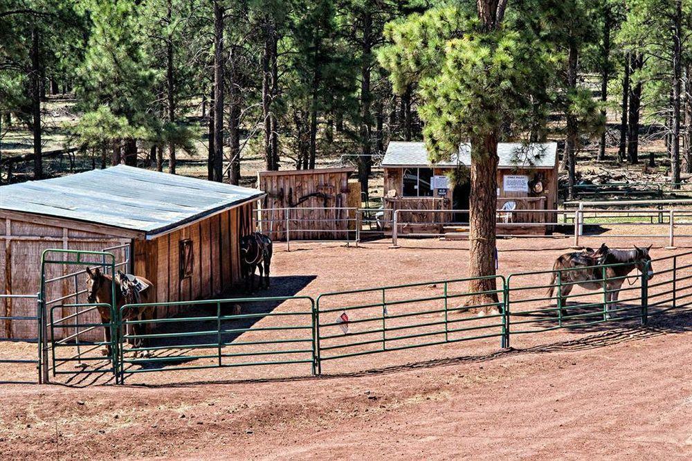 Mountain Ranch Resort At Beacon Hill 윌리엄스 외부 사진